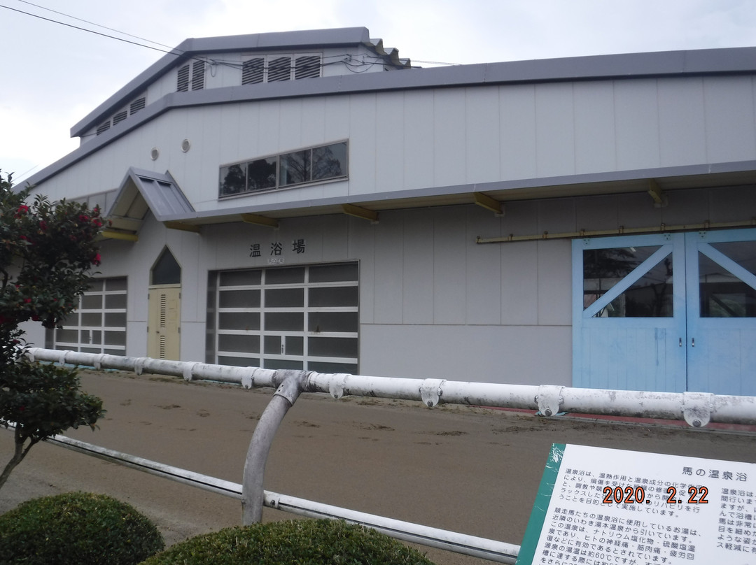 Japan Racing Association Racehourses Research Institute Tokiwa Branch-盘城市必去景点