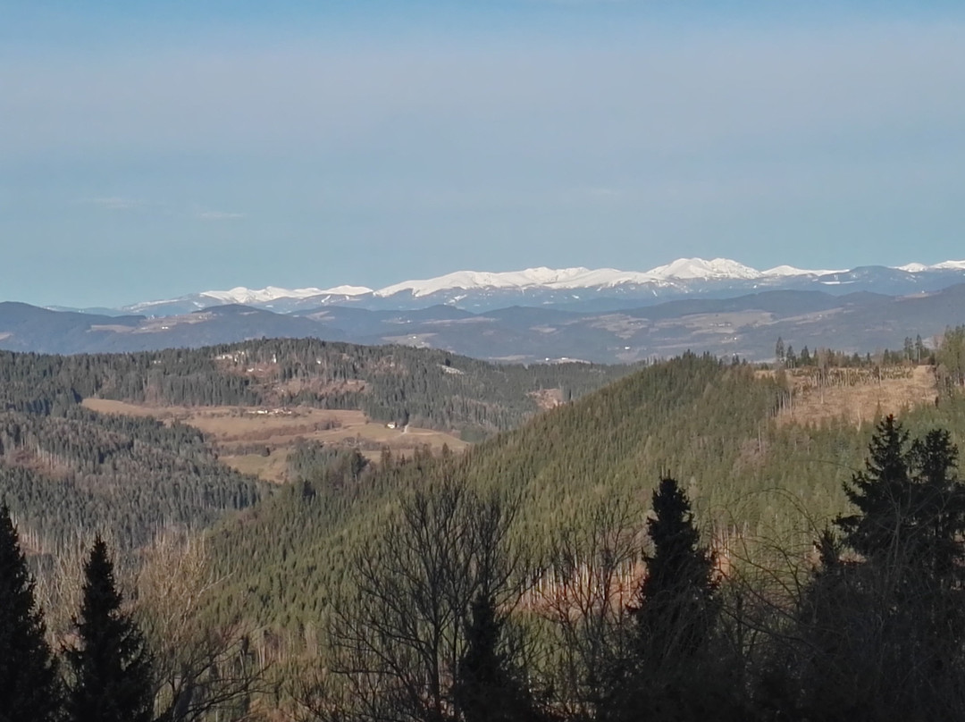 Biolandhaus Arche主图