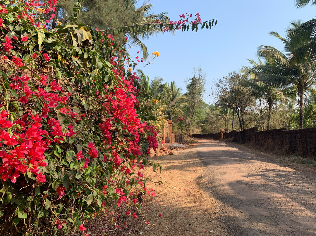 Serene Ravine Homestay主图