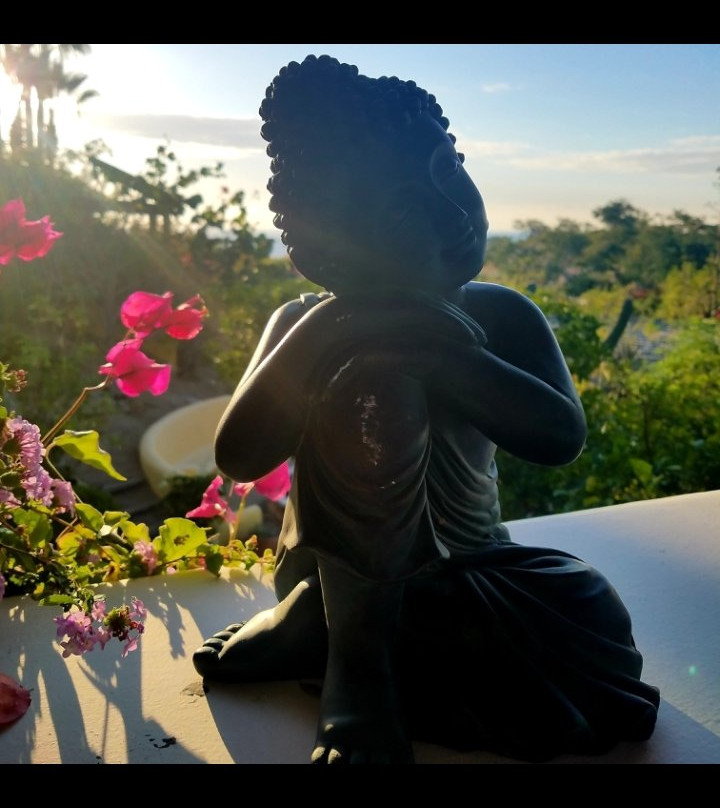 Rukhsana's Wellness Heavenly Retreat景点图片