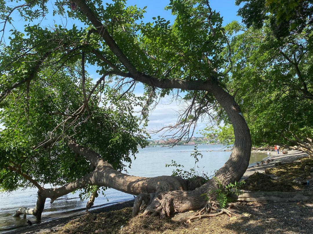 Scenic Hudson's Long Dock Park-Beacon必去景点