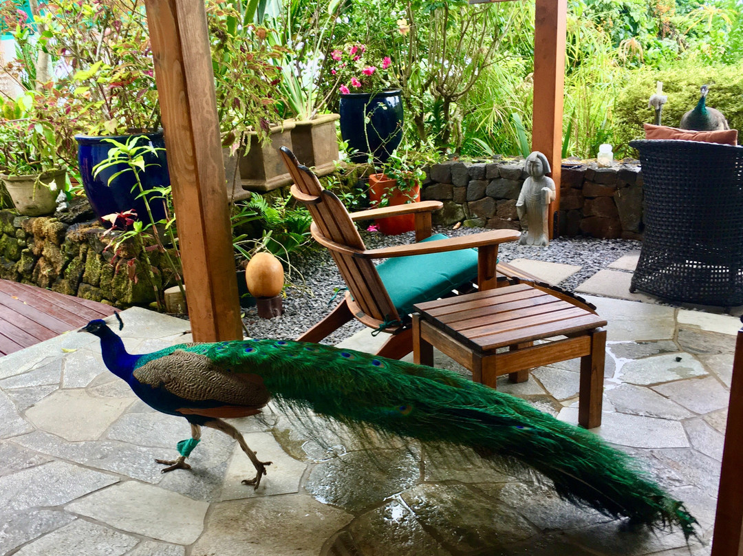 Kane Plantation Guesthouse主图