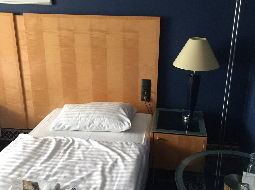 Hotel Hugo Business & Spa主图