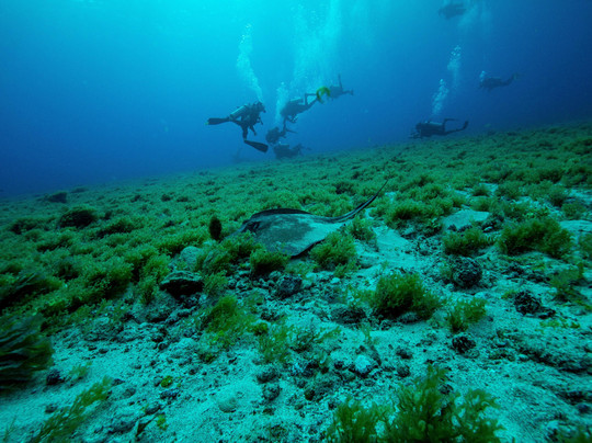 Boutique Travel Experts-累西腓必去景点