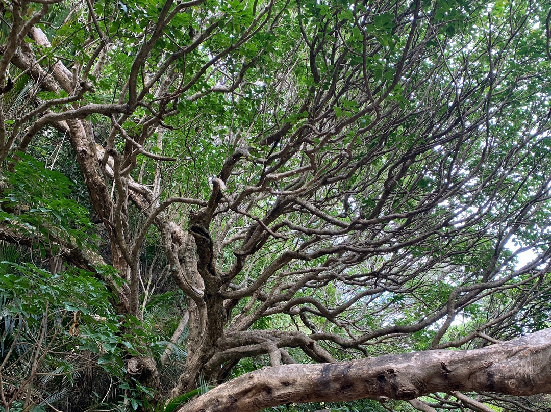 Karekare Falls-Karekare必去景点