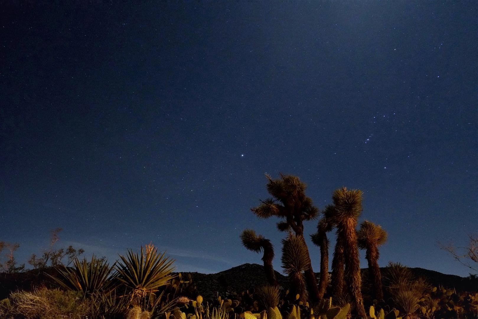 Desert Lily-浴室