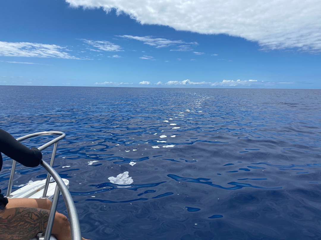 Kona Boat Rentals-凯鲁瓦-柯纳必去景点