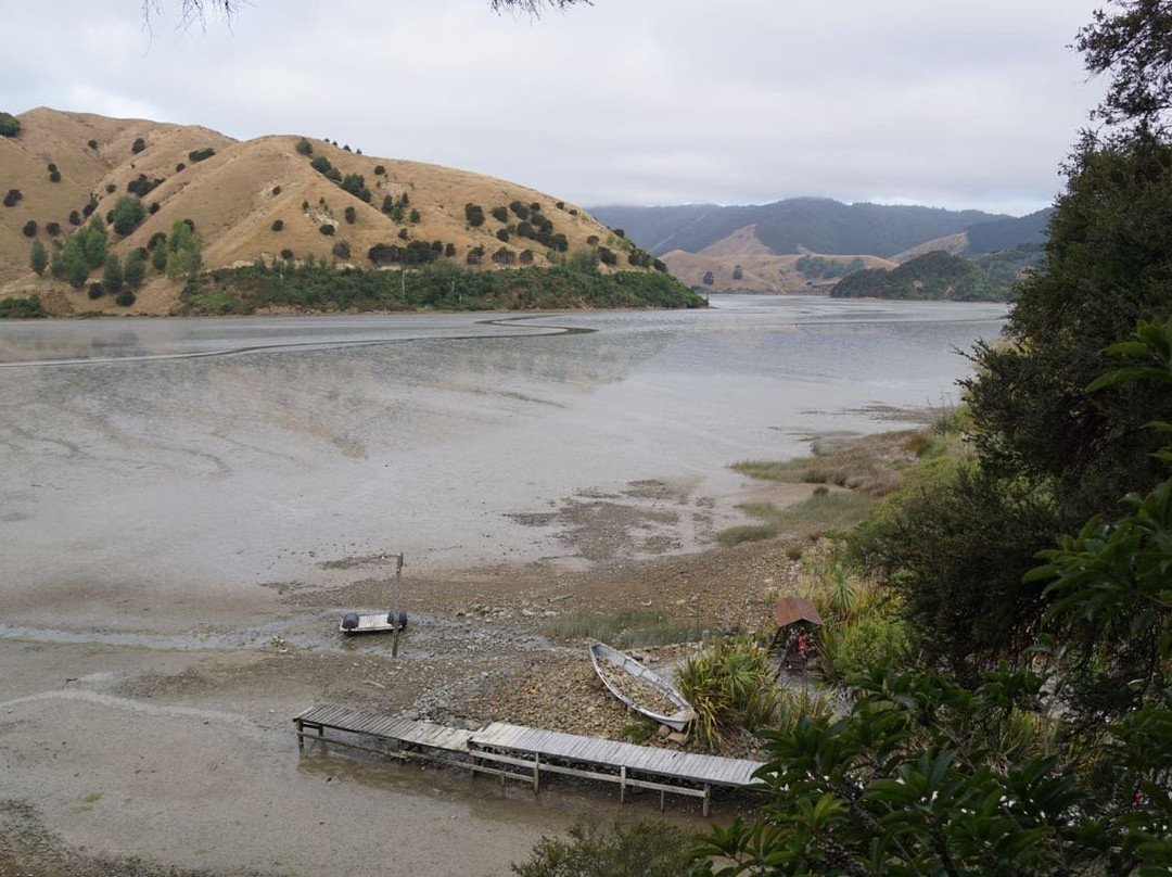 Cable Bay Lodge-Treehouse Waterfront Hideaway主图