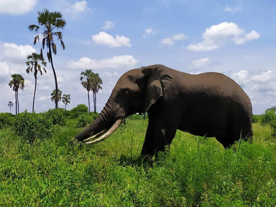 Sky View Adventure Tours & Safaris-阿鲁沙必去景点