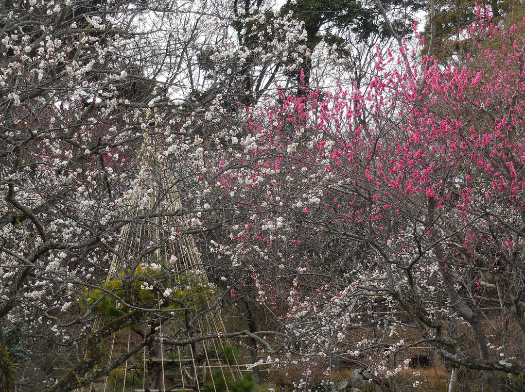 Mogusaen-日野市必去景点