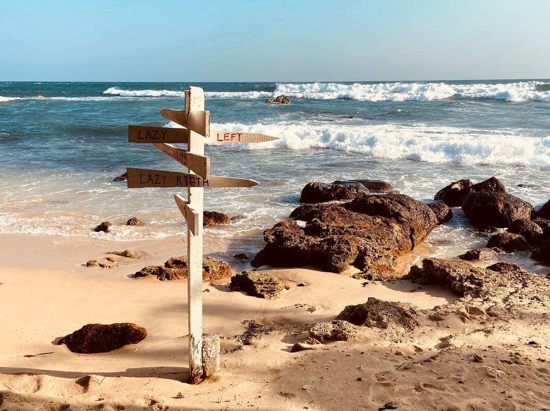 Midigama Holiday Inn主图