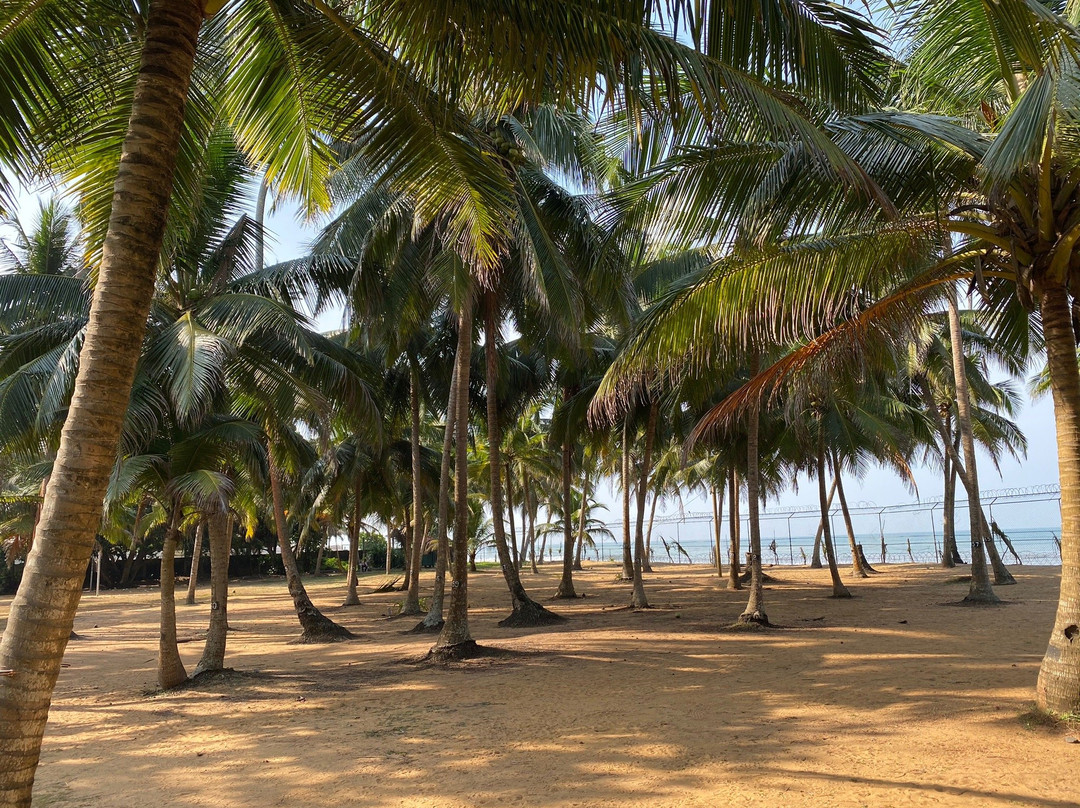 Villa Ocean View Hotel主图