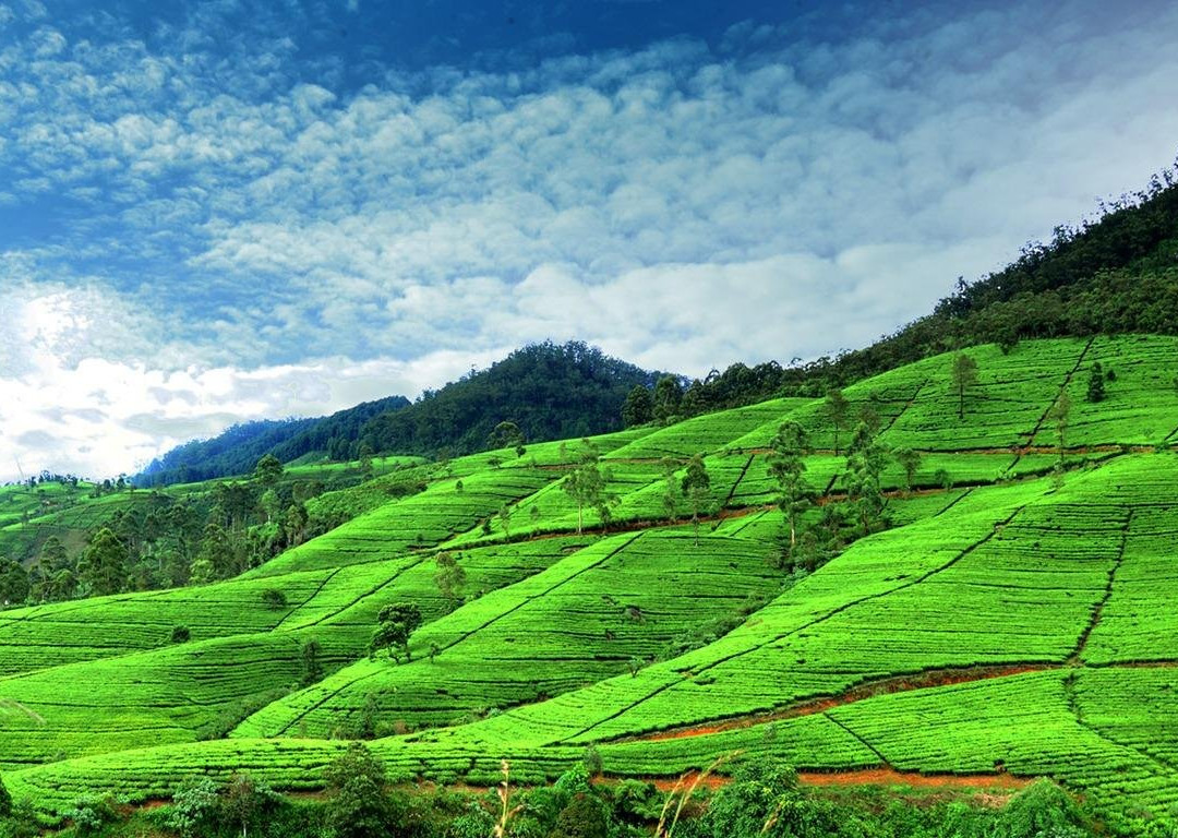 Sri Lanka Holiday Partner-Kotte必去景点