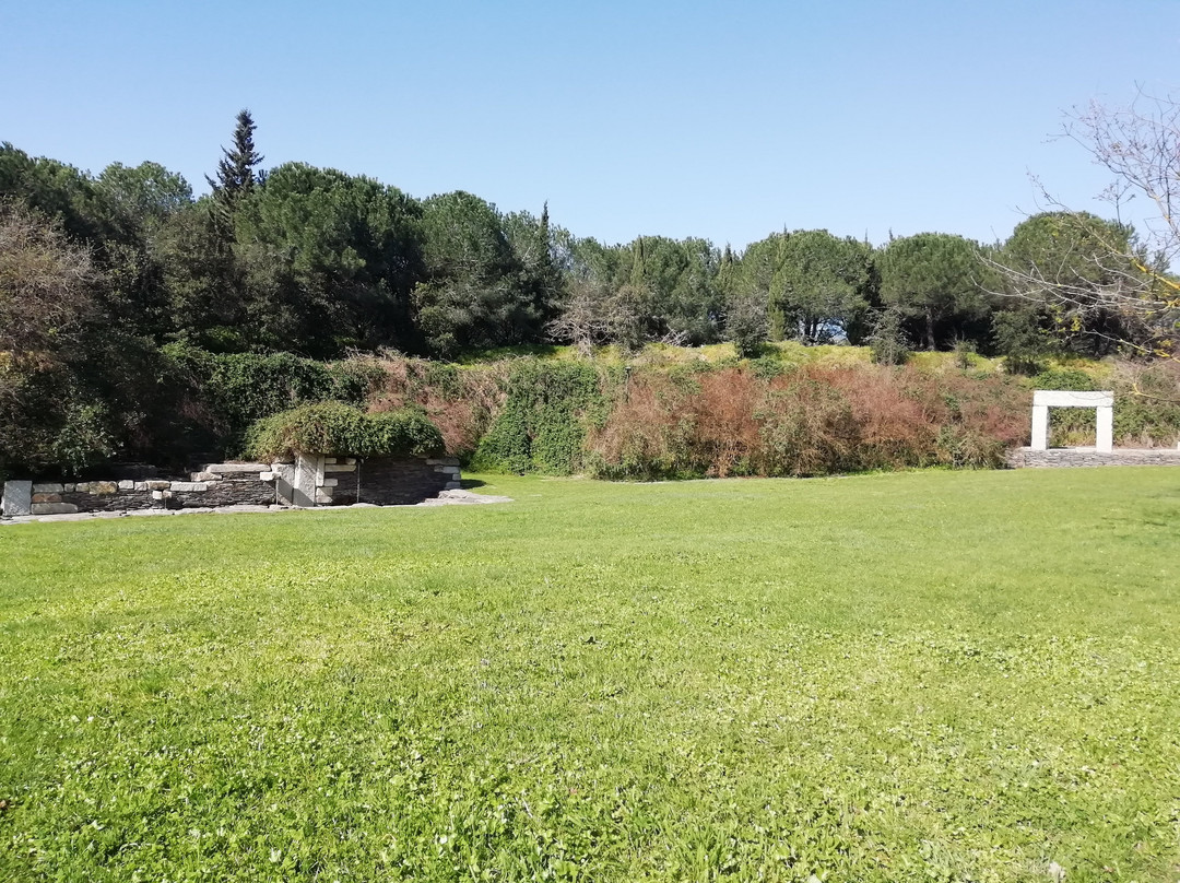 Parque da Paz景点图片