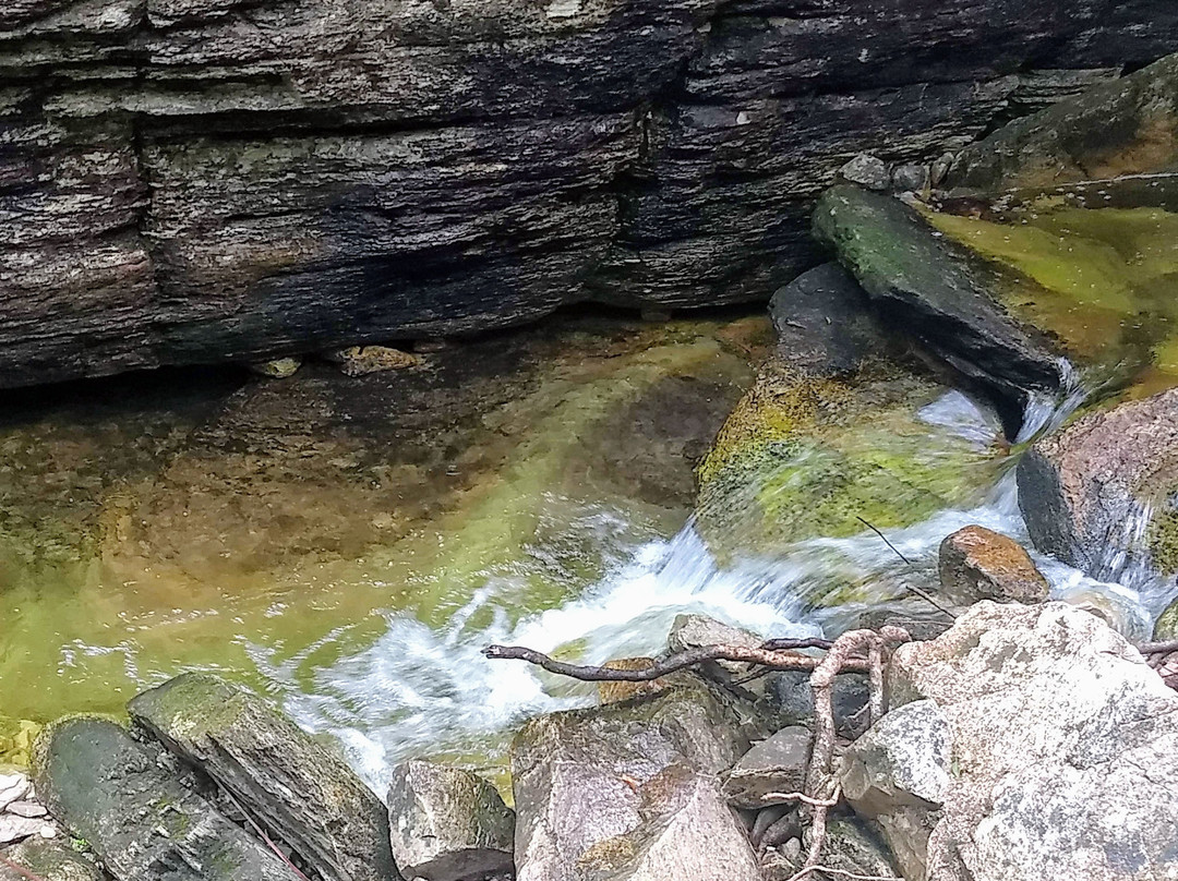 Santuário Ecológico Vale Dourado景点图片