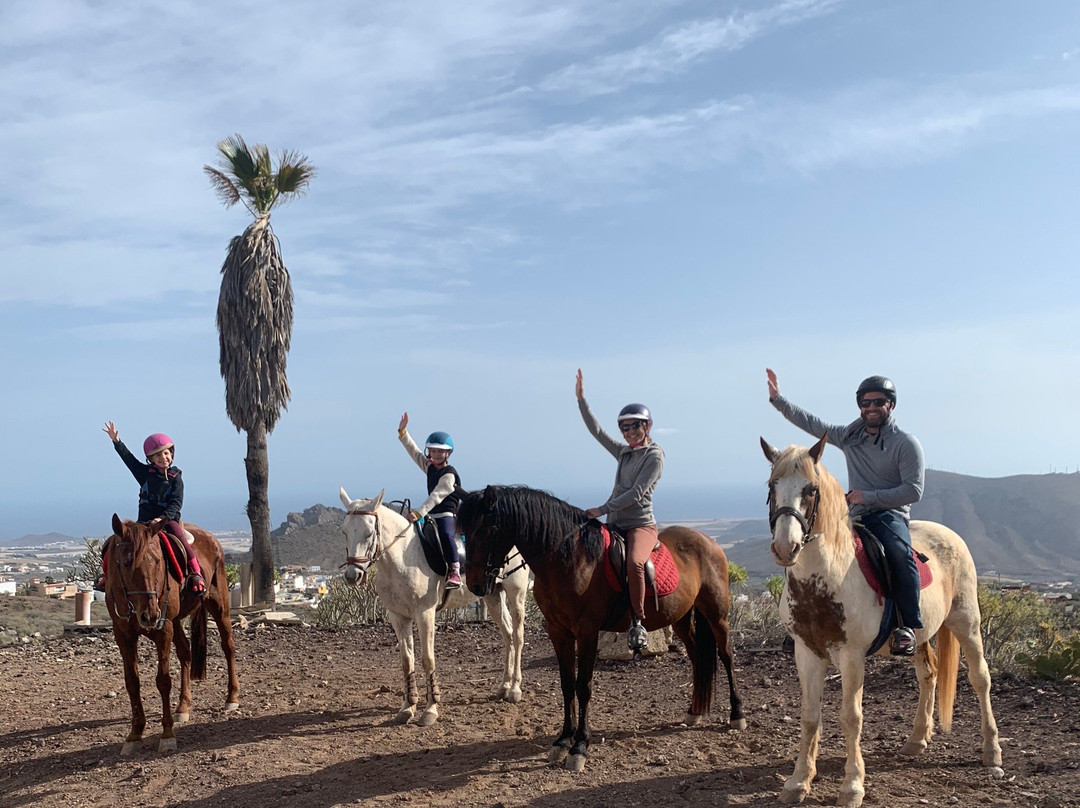 Horse Riding Tenerife-阿罗纳必去景点