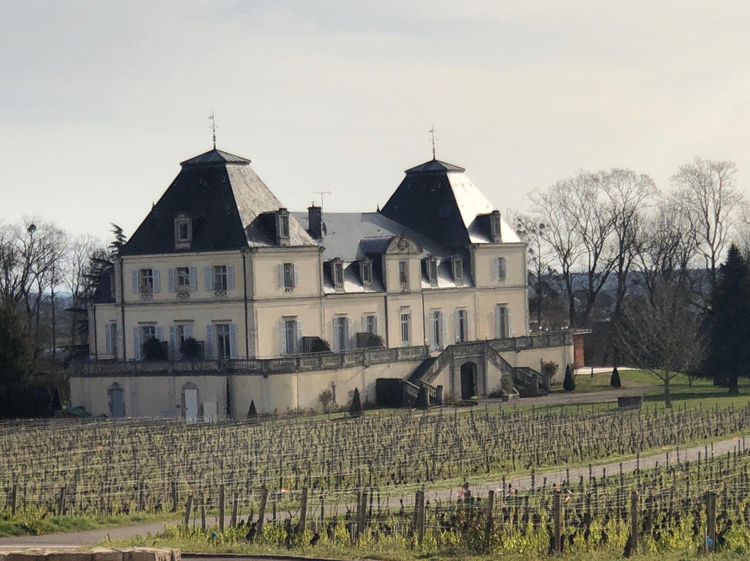 Domaine Château de Citeaux景点图片