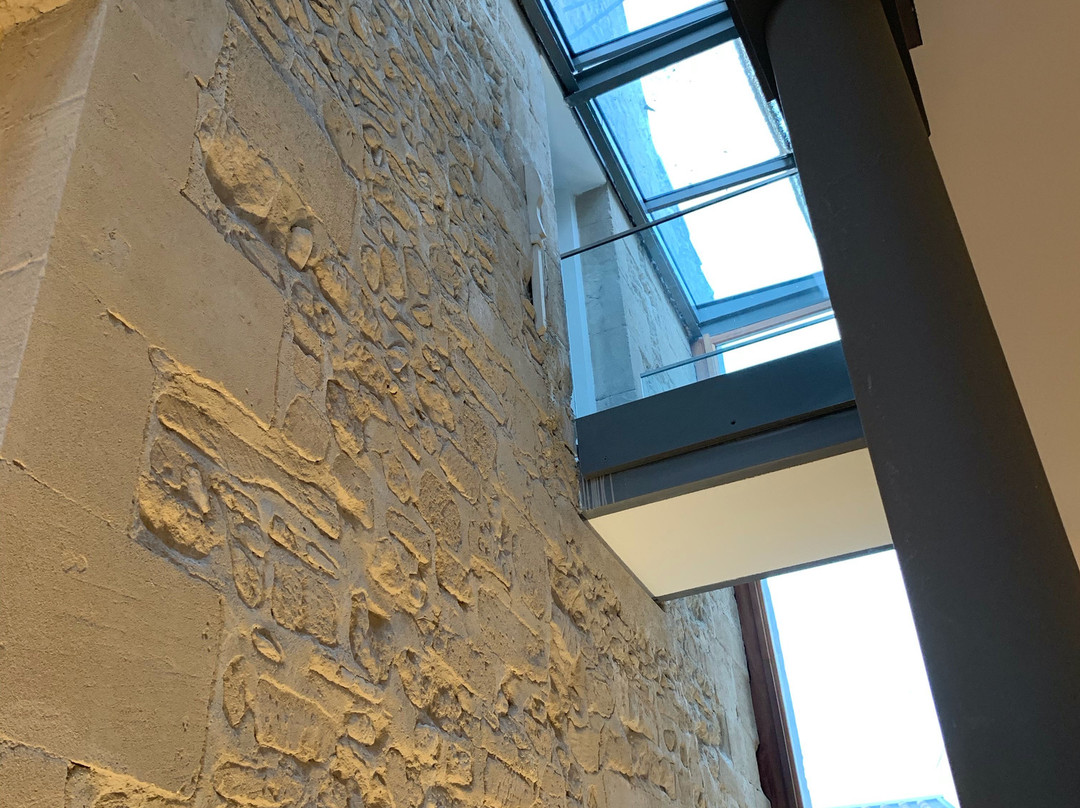 Musée Estrine景点图片
