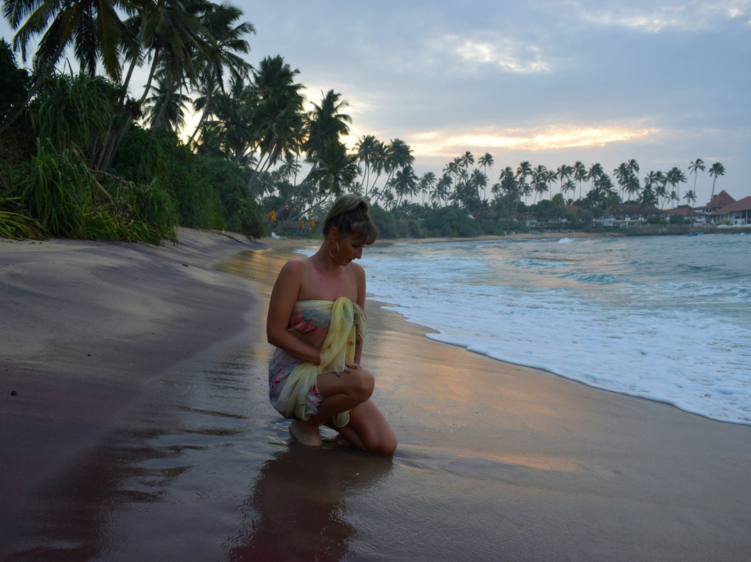 White Lion Paradise主图