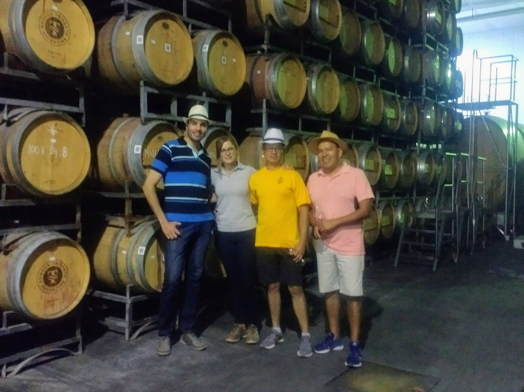 Bodega Trivento-Maipu必去景点