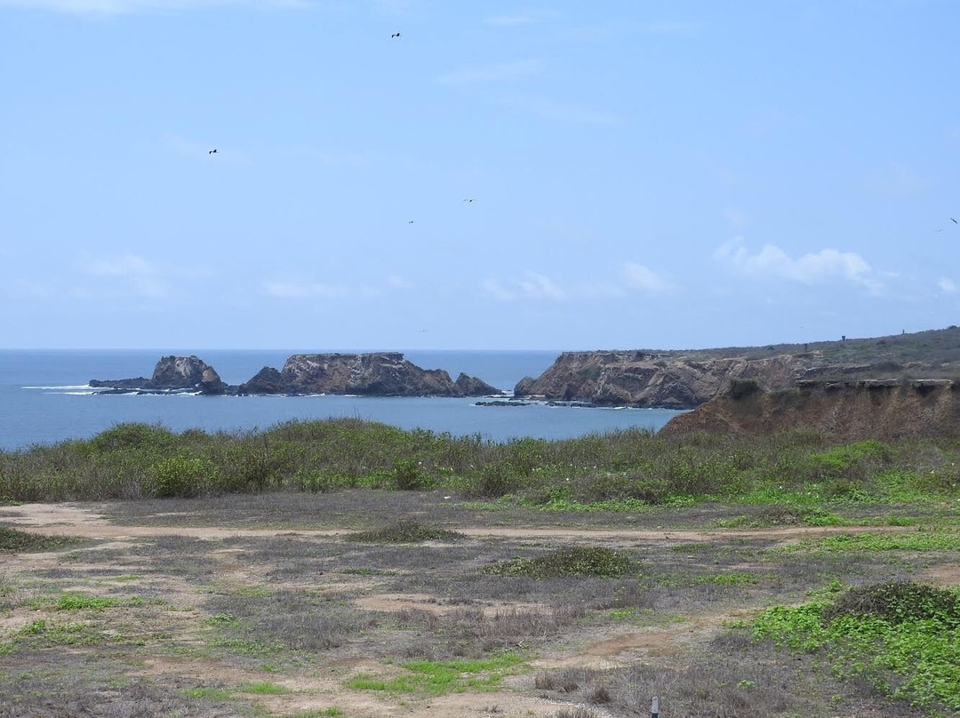 Isla de la Plata-Puerto Lopez必去景点