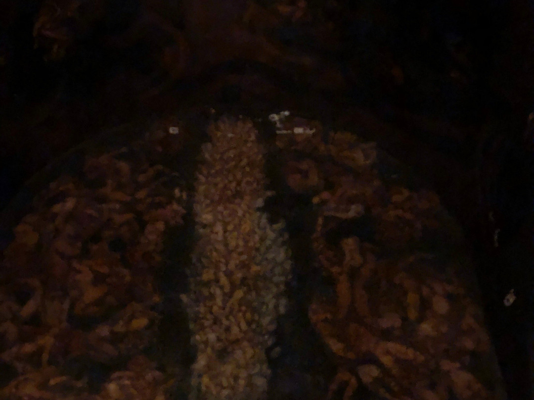 Emanuel Vigeland Museum-奥斯陆必去景点