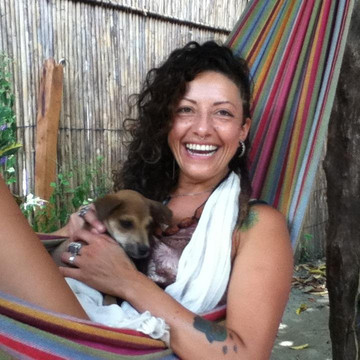 Palomino Animal Soul