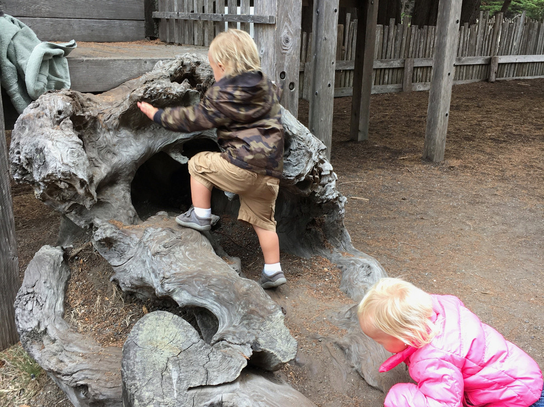 One Eyed Jack's Picnic Area & Playground景点图片