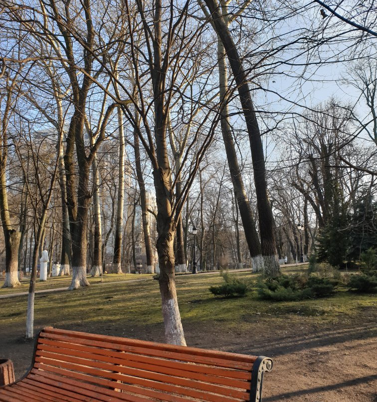 Mariinsky Park-基辅必去景点