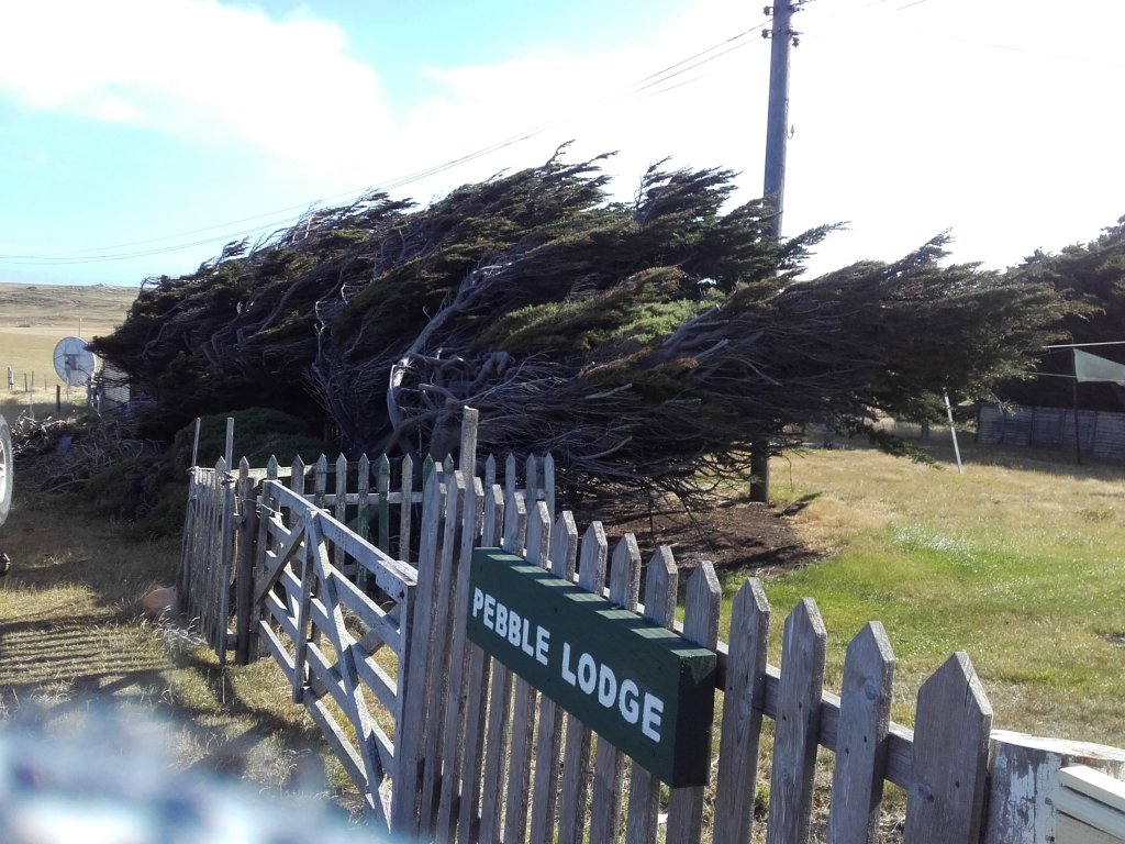 Pebble Island Lodge-浴室