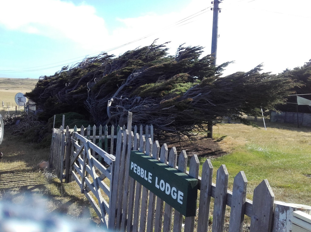 Pebble Island Lodge主图