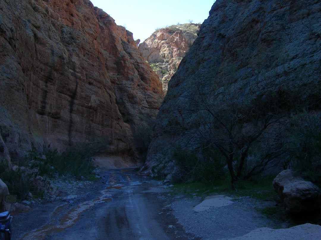 Arizona ATV Adventures-Florence必去景点