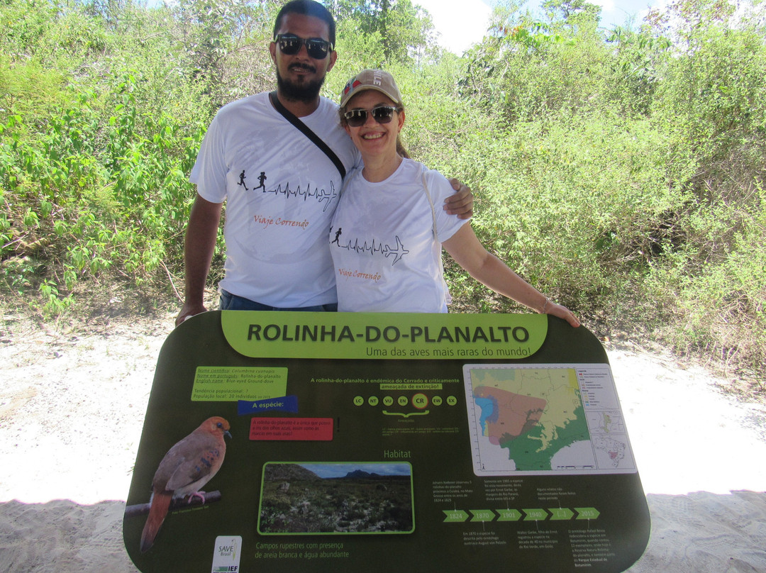 Reserva Natural Rolinha-do-Planalto-Botumirim必去景点