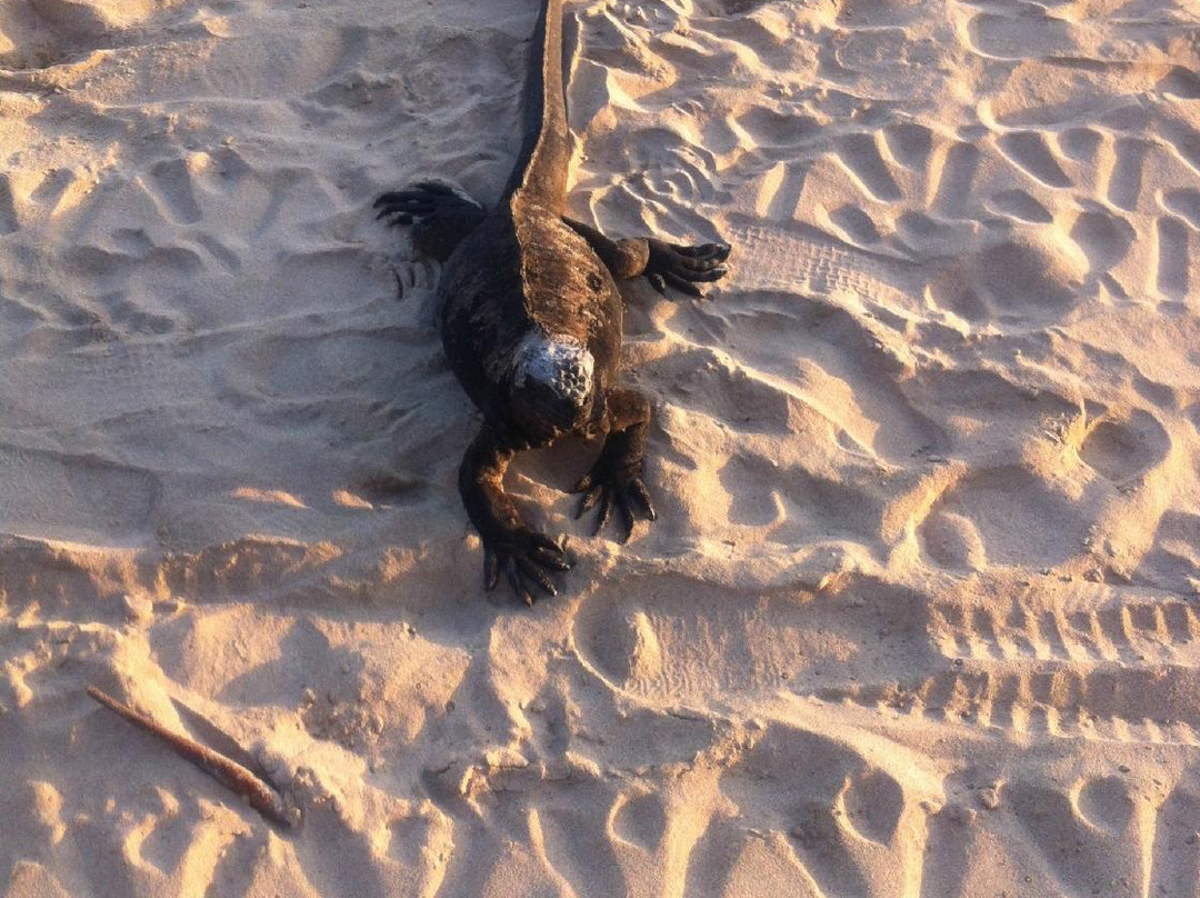 Rebecca Adventure Travel-阿约拉港必去景点