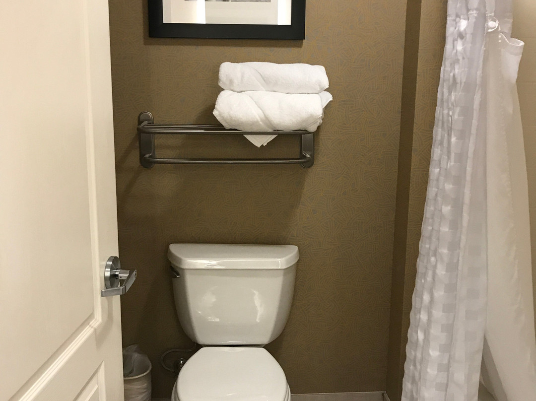 Homewood Suites By Hilton Wilmington/mayfaire, Nc主图