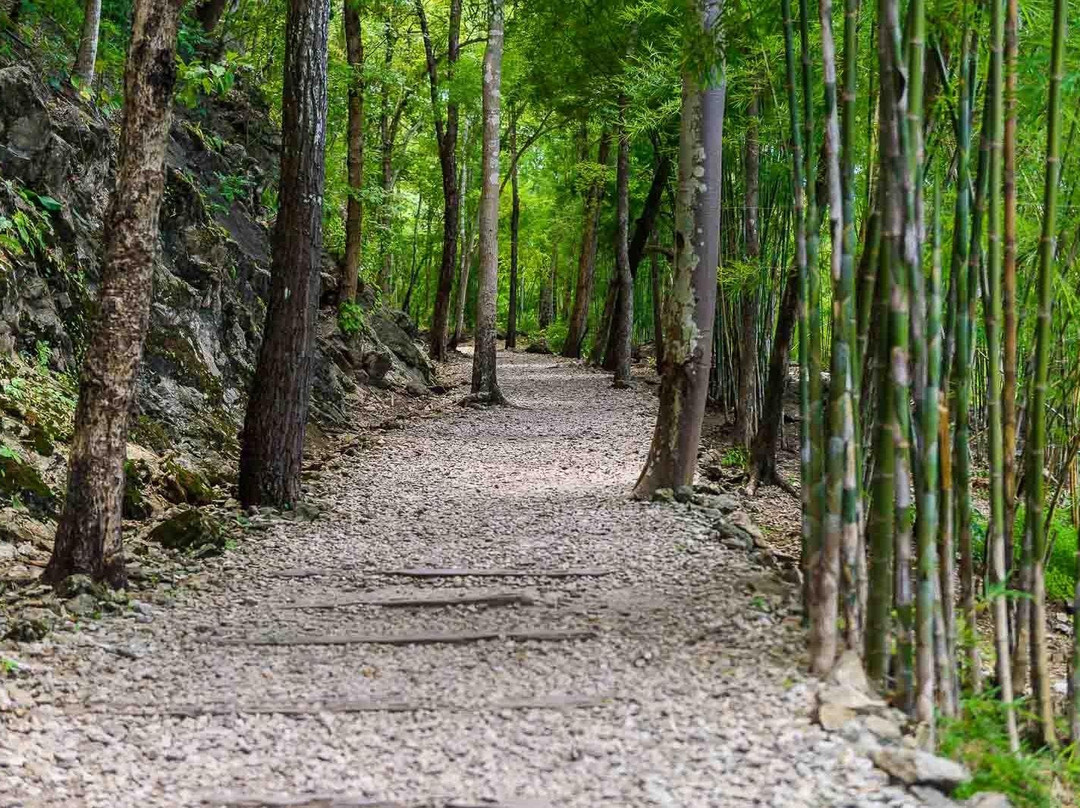 Kanchanaburi Tours-北碧必去景点