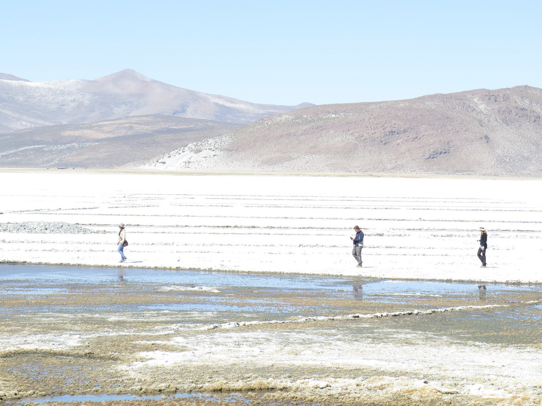 Peru Adventure Tours景点图片