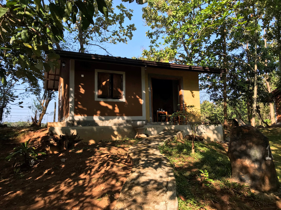 Scenery River Side Eco Resort主图