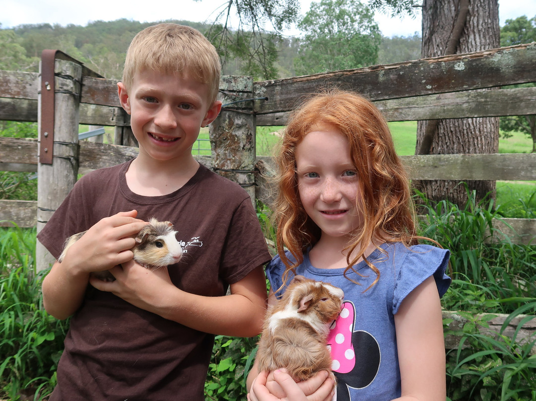 Kookaburra Park