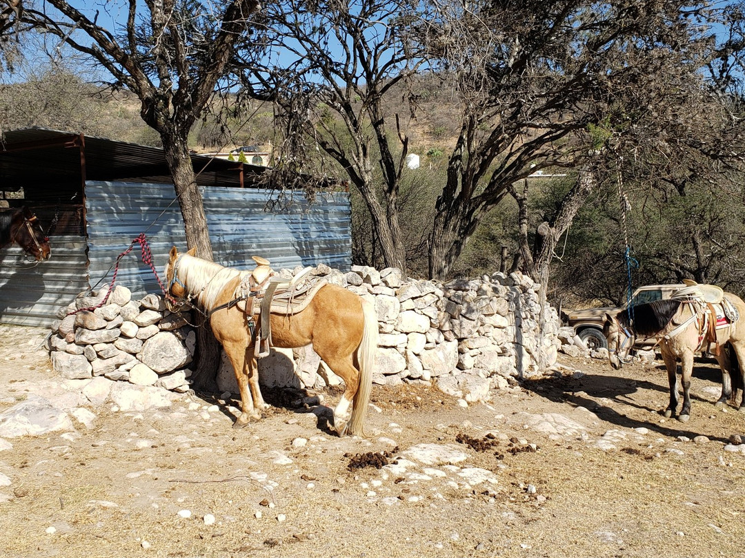 Leisurely Country Horseback Riding-圣米格尔护城必去景点