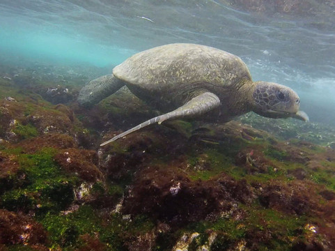 Good Life Expeditions-利马必去景点