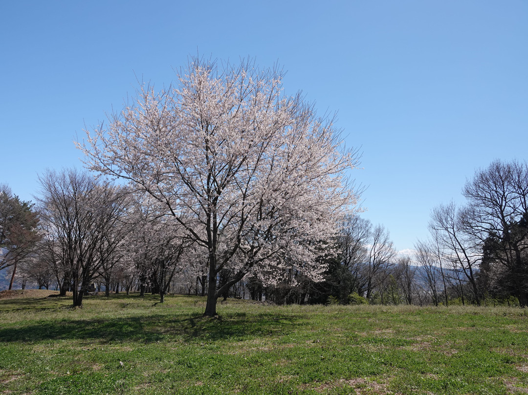 Matsuoka Castle Ruins-高森町必去景点