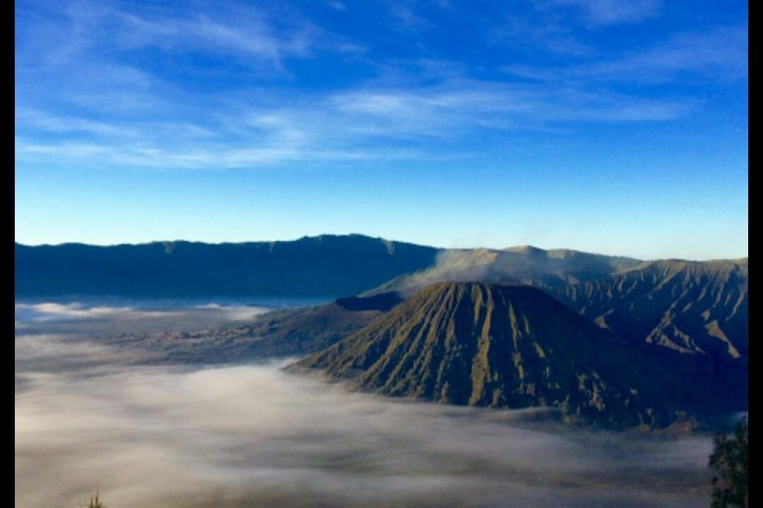 wisata banyuwangi (pratama tour)
