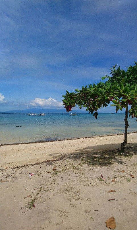 Cowrie Island景点图片