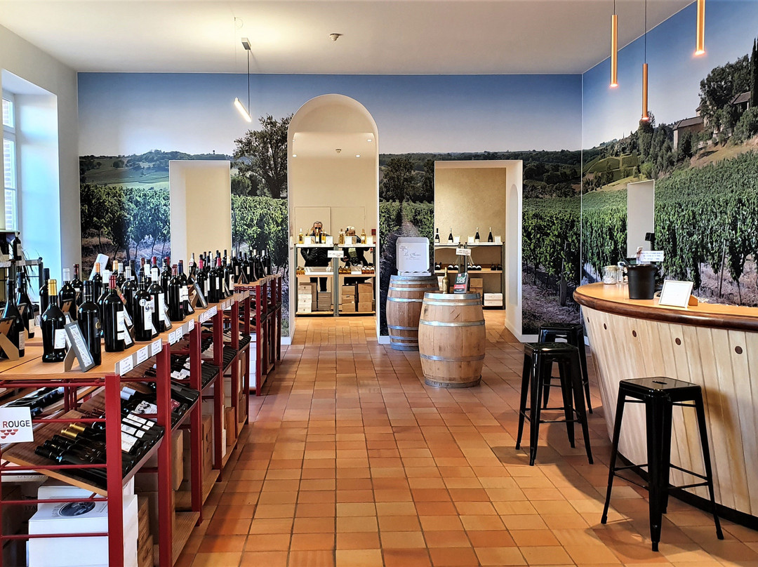 Maison des Vins de Gaillac景点图片