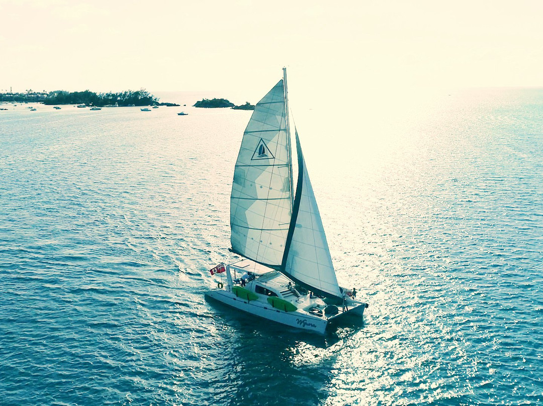 Sail Bermuda Private Charters-汉密尔顿必去景点