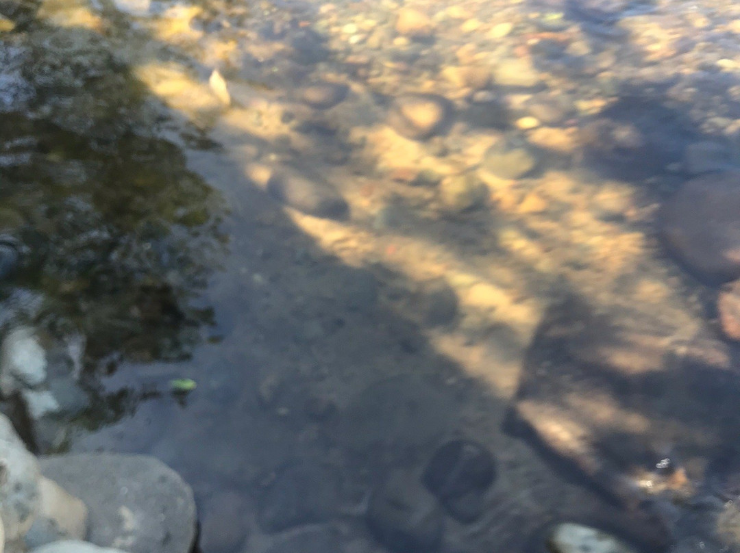 Balneario Hurtado-巴耶杜帕尔必去景点