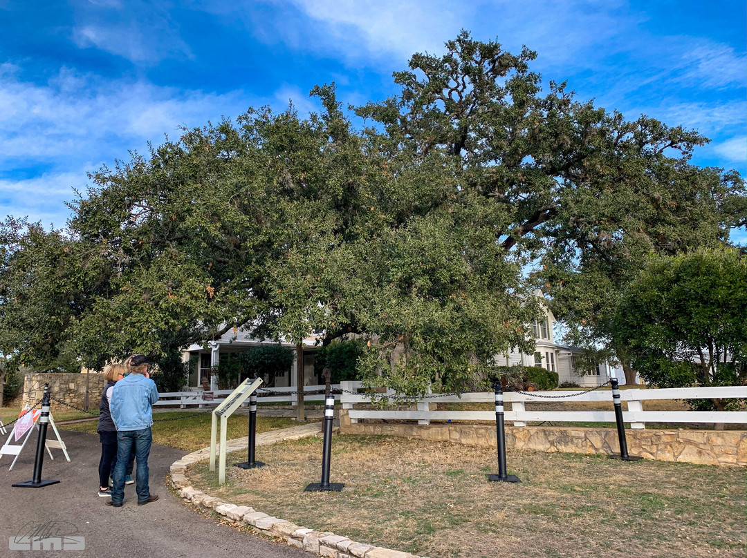 Texas White House-Johnson City必去景点