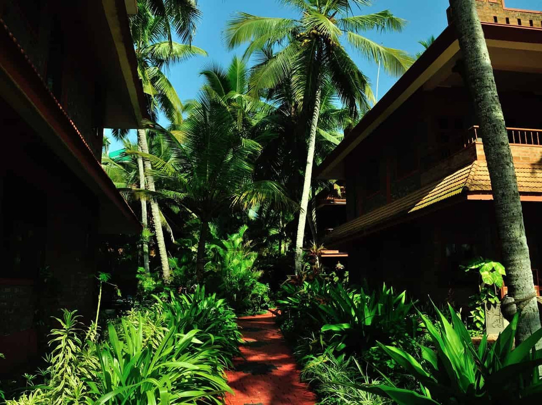 Wild Palms On Sea主图