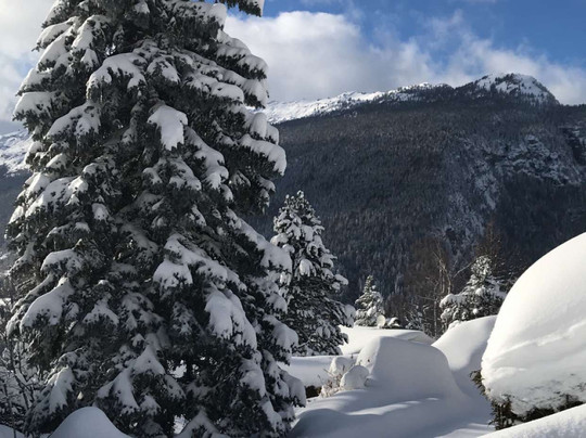 Hotel et Spa Le Vermont主图